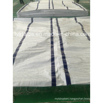 LDPE Coated PE Tarpaulin Cover, LDPE Woven Fabric Plastic Tarpaulin, China PE Tarp Sheet, Poly Tarp Cover